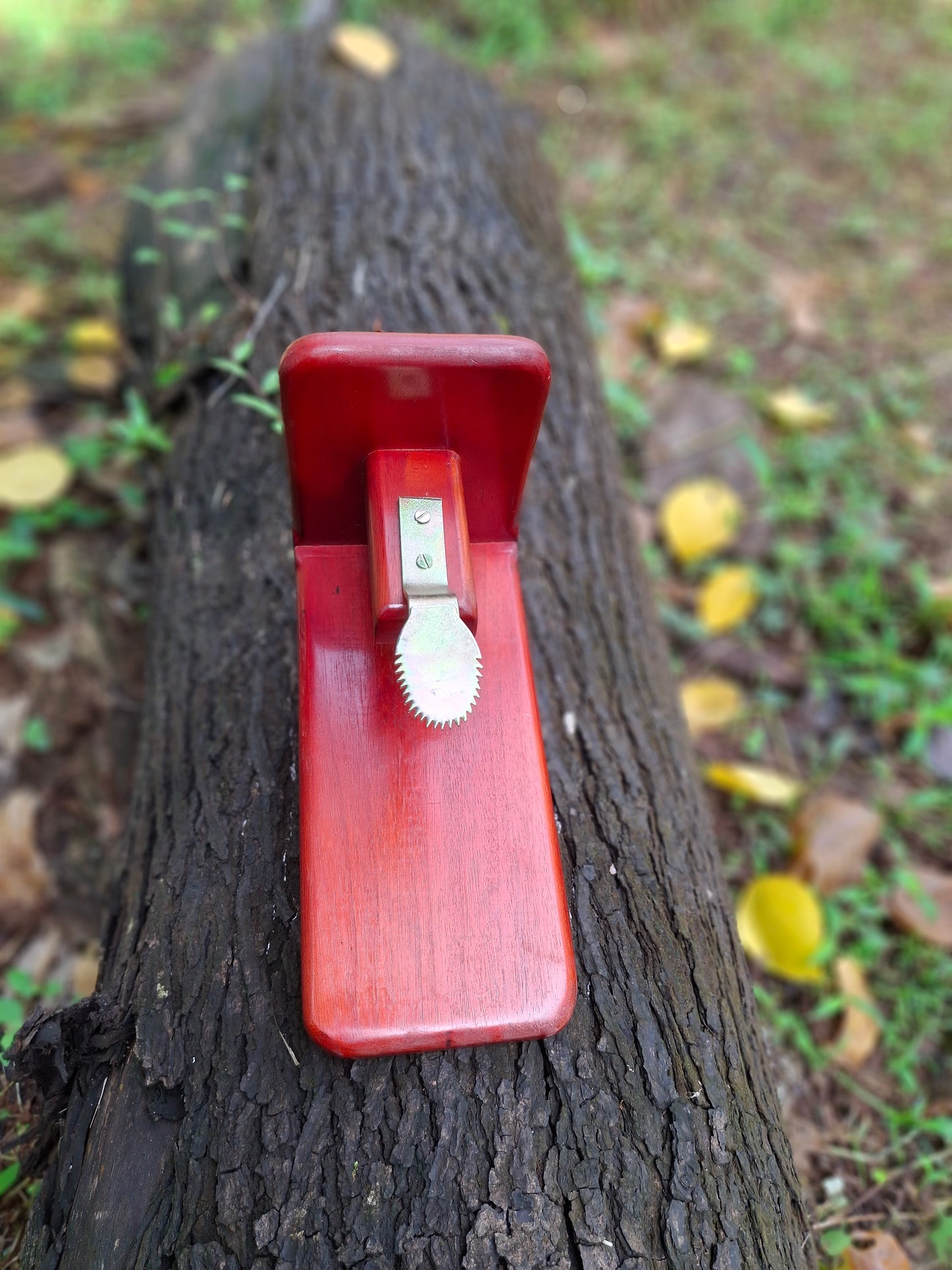 Table Top Polished Wooden Coconut Scraper Grater Thengai Thuruvi Chirava (Mahogany, Stainless Steel)
